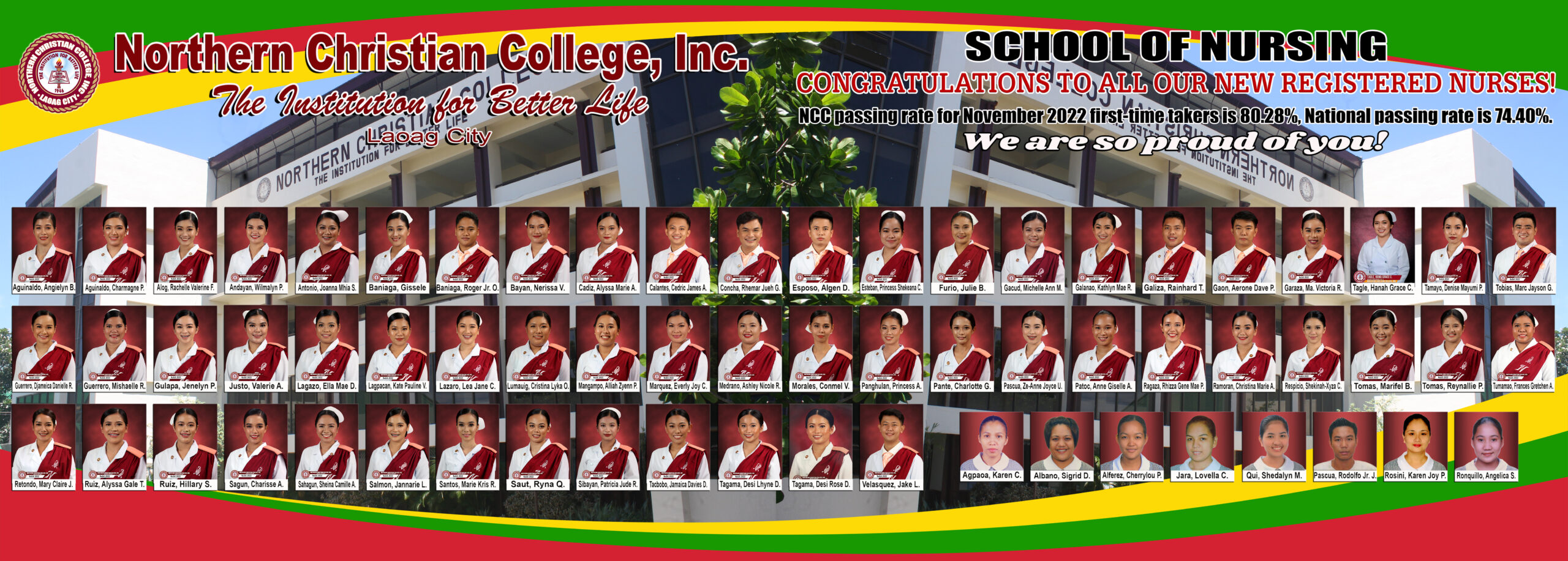 Nurses Licensure Examination Passers 7x2.5ft